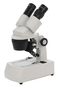 Frey Scientific Compact Fixed Head Stereo Microscope - 1x and 3x Magnification - Incandescent Illumination, Item Number 1396241