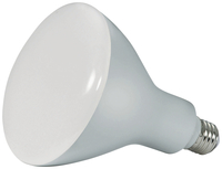Light Bulbs, Item Number 2025956
