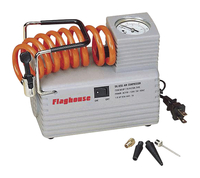 Image for FlagHouse Electric Inflator from School Specialty