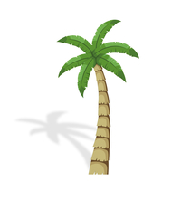 Image for Inventionland Short Island Palm Tree from School Specialty