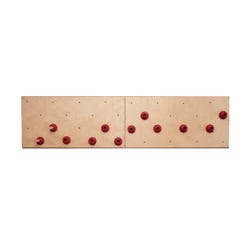 Image for Everlast Climbing Peg Board, 2 x 8 Feet from School Specialty