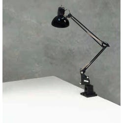 Frey Scientific Desk Lamp, Item Number 120-0836