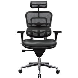 Image for Eurotech Ergohuman High Back Task Chair with Headrest Leather Seat/Mesh Back, 26-1/2 x 29 x 52 Inches, Black from School Specialty