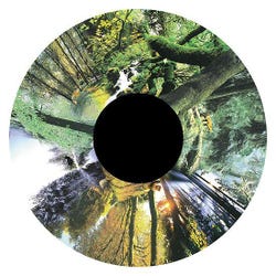 Solar Effect Wheel, Forest 2125679