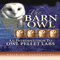 Image for Frey Scientific the Barn Owl an Introduction to Owl Pellet Labs DVD, 15 min from School Specialty