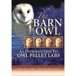 Image for Frey Scientific the Barn Owl an Introduction to Owl Pellet Labs DVD, 15 min from School Specialty