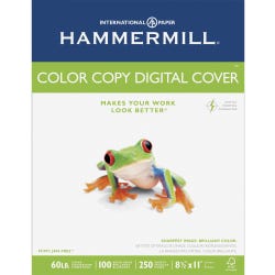 Image for Hammermill Copy Paper, 8-1/2 x 11 Inches, 60 lb, White, 250 Sheets from School Specialty