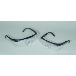 Image for Delta Education Student Size Safety Glasses - Pack of 30 from School Specialty