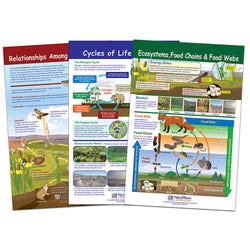 Image for NewPath Learning Bulletin Board Chart Set of 3, Ecology, Grades 5-8 from School Specialty