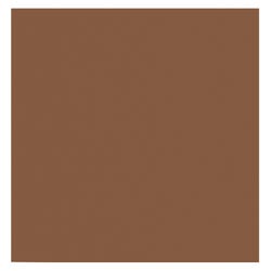 Image for Prang Medium Weight Construction Paper, 9 x 12 Inches, Brown, 100 Sheets from School Specialty