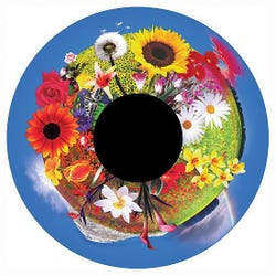 Image for Solar Effect Wheel, Flowers from School Specialty