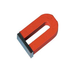 Image for Frey Scientific Alnico Horseshoe Magnets - 2 inch from School Specialty