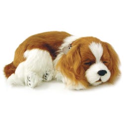 Image for Perfect Petzzz Cavalier King Charles Spaniel from School Specialty