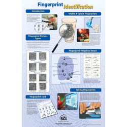 Image for NeoSCI Fingerprint Identification Laminated Poster, 23 in W X 35 in H from School Specialty