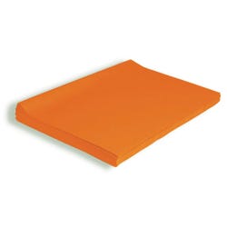 Image for Spectra Deluxe Bleeding Tissue Paper, 20 x 30 Inches, Orange, 24 Sheets from School Specialty