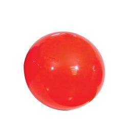 Image for Gymnic Physio Therapy Ball, 34 Inch, Red from School Specialty
