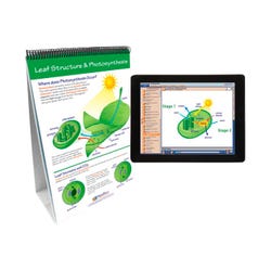 Image for NewPath Learning Photosynthesis & Cellular Respiration Flip Chart and Online Multimedia Lesson from School Specialty