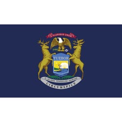 Image for Annin Nylon Michigan Heavy Weight Outdoor State Flag, 4 X 6 ft from School Specialty
