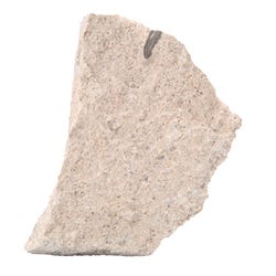 Image for Granular Oolitic Limestone, Hand Sample from School Specialty