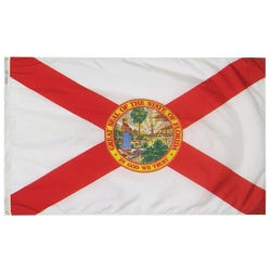 Image for Annin Nylon Florida Heavy Weight Outdoor State Flag, 3 X 5 ft from School Specialty