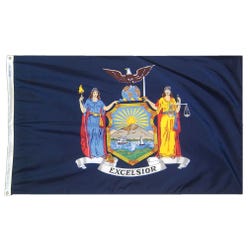 Image for Annin Nylon New York Indoor State Flag, 3 X 5 ft from School Specialty