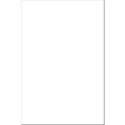 Image for Tru-Ray Extra Large Construction Paper, 24 x 36 Inches, White, Pack of 50 from School Specialty