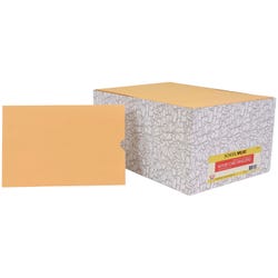 Image for School Smart Report Card Envelope, 28 lb, 6 x 9 Inches, Kraft, Pack of 500 from School Specialty