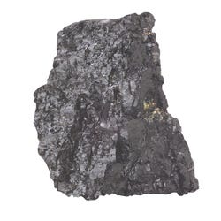 Image for Scott Resources Bituminous Coal, Hand Sample from School Specialty