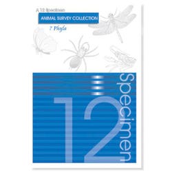 Image for Frey Scientific Preserved Animal Survey Collection Set, Set of 12 from School Specialty