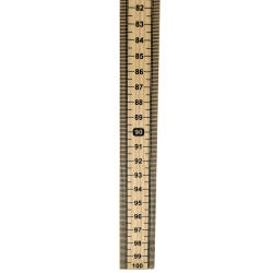 Image for Eisco Labs Wooden Meter Sticks, Graduated One Side, Zero Top, Pack of 10 from School Specialty
