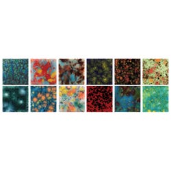 Mayco Jungle Gems Crystal Glaze Set, Pint, Assorted Colors, Set of 12 Item Number 2003170