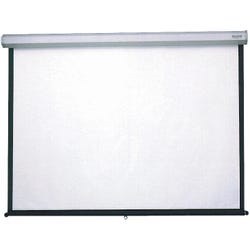 Image for Da-Lite Model C Extra Large Wall Projection Screen, 120 x 120 Inches, Matte White Screen, Steel White Frame from School Specialty