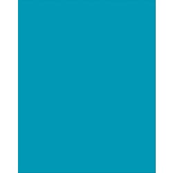 Image for Pacon Plastic Poster Board, 22 x 28 Inches, Azure, Pack of 25 from School Specialty