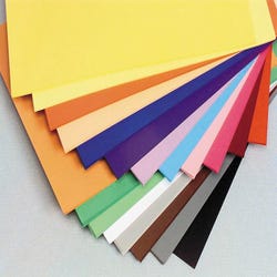 Image for Folia Assorted Colored Paper, 120 gsm, 8-1/4 x 11-3/4 Inches, Pack of 250 from School Specialty