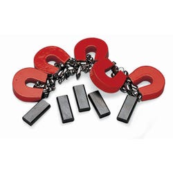 Image for Delta Education Horseshoe Magnet Set from School Specialty