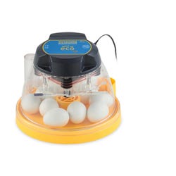 Image for Brinsea Mini ECO II Manual 10 Egg Incubator from School Specialty
