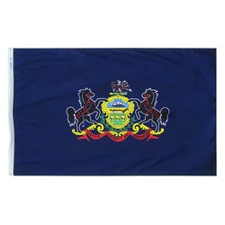 Image for Annin Nylon Pennsylvania Indoor State Flag, 3 X 5 ft from School Specialty