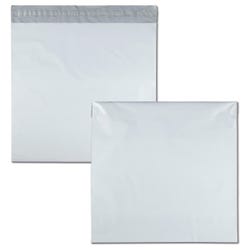 Catalog Envelopes and Booklet Envelopes, Item Number 1066542