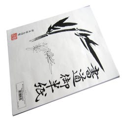 Image for Yasutomo Hanshi Rice Paper, 9-1/2 x 13 Inches, White, Pack of 100 from School Specialty