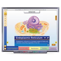 Image for NewPath Learning IWB Multimedia Lesson - Animal and Plant Cell Structure Site License CD from School Specialty
