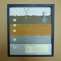Image for White Owl Soil Horizons from School Specialty