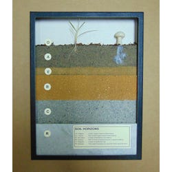 Image for White Owl Soil Horizons from School Specialty