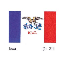 Image for Annin Nylon Iowa Indoor State Flag, 3 X 5 ft from School Specialty