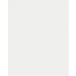 Image for Pacon Plastic Poster Board, 22 x 28 Inches, Opaque, Pack of 25 from School Specialty