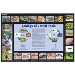 Image for NeoSCI Ecology of Vernal Pools Laminated Poster, 23 in W X 35 in L from School Specialty