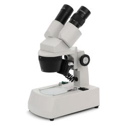 Image for Frey Scientific Compact Fixed Head Stereo Microscope - 1x and 3x Magnification - Incandescent Illumination from School Specialty