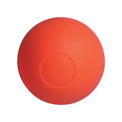 Image for FlagHouse Senior No Bounce Hockey Ball from School Specialty
