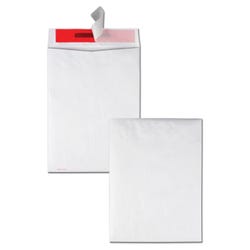 Image for Quality Park Tamper Proof Tyvek Envelopes, 9 x 12 Inches, Box of 100 from School Specialty