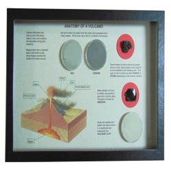 Image for White Owl Anatomy of a Volcano Display from School Specialty