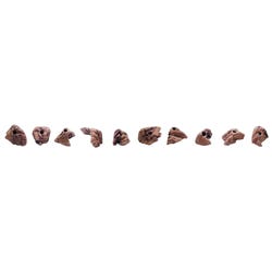 Image for Everlast Groperz Realistic Rock Hand Holds, Set of 10 from School Specialty